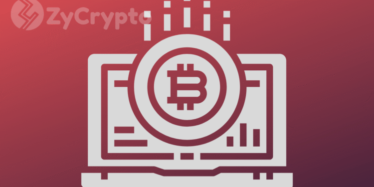 BTC At $11k, Hear From Industry Leaders On What's Next For Bitcoin: Exclusive