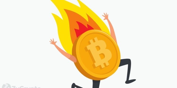 Experts Weigh In On The Possibility Of Bitcoin Facing A Monumental Crash This Year