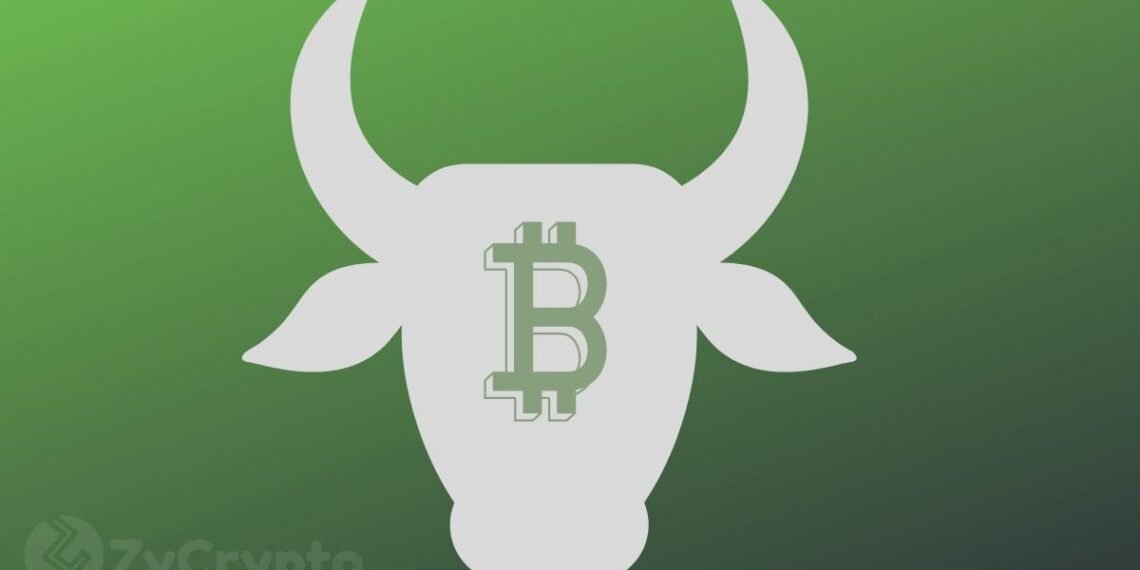 Veteran Trader Peter Brandt Presents Three Scenarios That Prove Bitcoin Might Have Entered A Bull Market