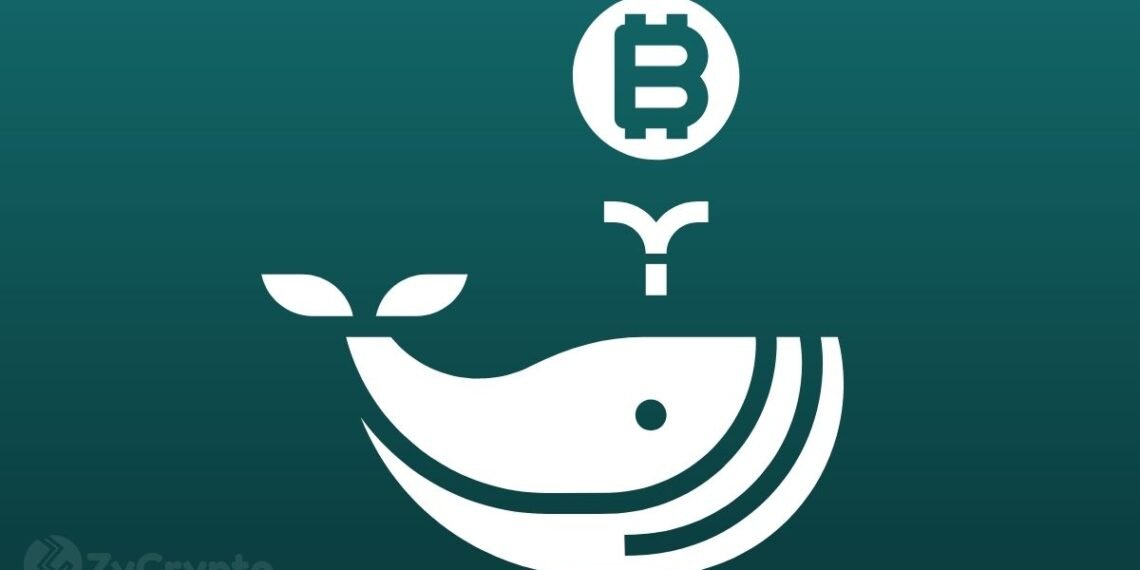 Why Whales' Movements Have Yet to Fully Reflect on Bitcoin's Price Action
