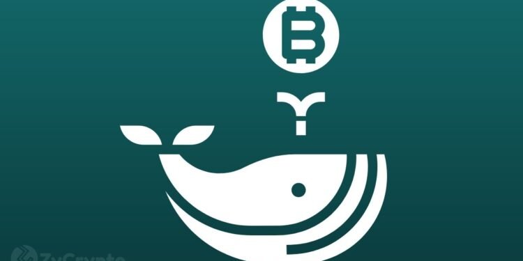 Why Whales' Movements Have Yet to Fully Reflect on Bitcoin's Price Action