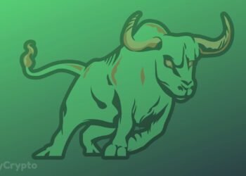 Bitcoin, Ether, Cardano, Solana Bull Rally In Second Half Of 2022 Is Unquestionable, Says Crypto Exec