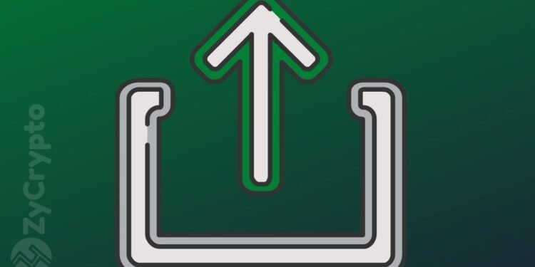 Bitcoin Price Sees Mild Recovery Bounce Above $8,000 Amid Global Market Disaster