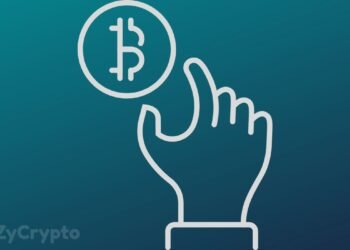 Data Reveals Bitcoin Hodlers are Accumulating Over $500 Million Worth of BTC Daily