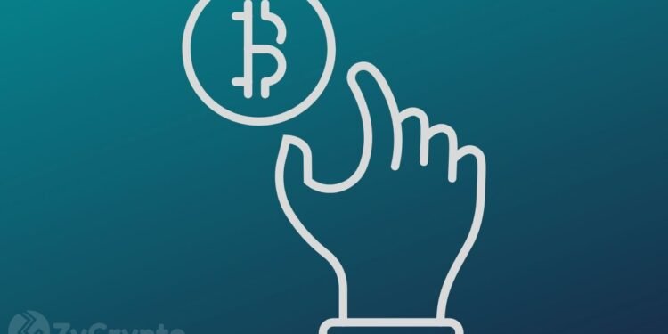 Data Reveals Bitcoin Hodlers are Accumulating Over $500 Million Worth of BTC Daily