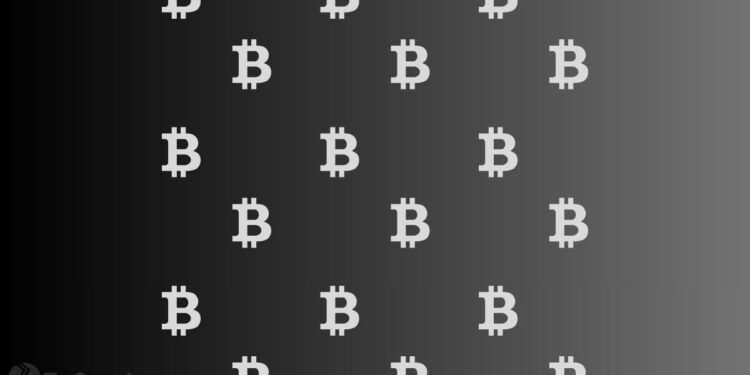 Elon Musk’s SpaceX Bitcoin Stash Hits $1 Billion As BTC Climbs To Fresh All-Time High Above $124,000