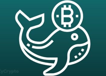 How the CEO of Binance became one of Bitcoin's biggest whales