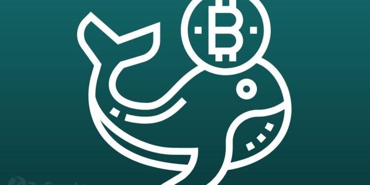 How the CEO of Binance became one of Bitcoin's biggest whales