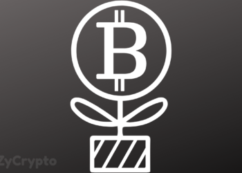 Miami Mayor Considers Investing In Bitcoin With Part Of City's Treasury Reserves