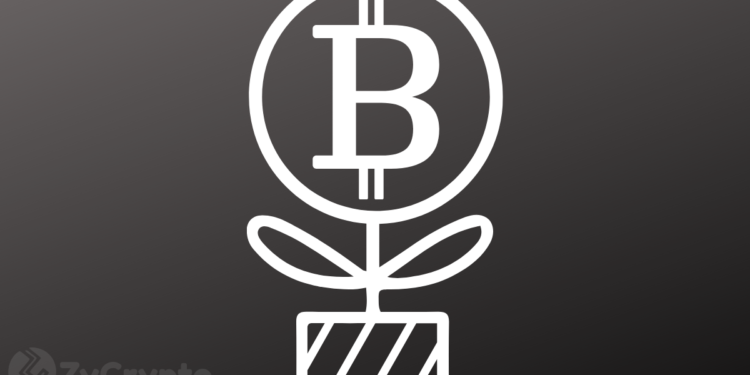 Miami Mayor Considers Investing In Bitcoin With Part Of City's Treasury Reserves