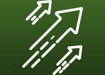 XRP, DOGE, Solana Lead Post-Thanksgiving Gains as Bearish Sentiment Wanes