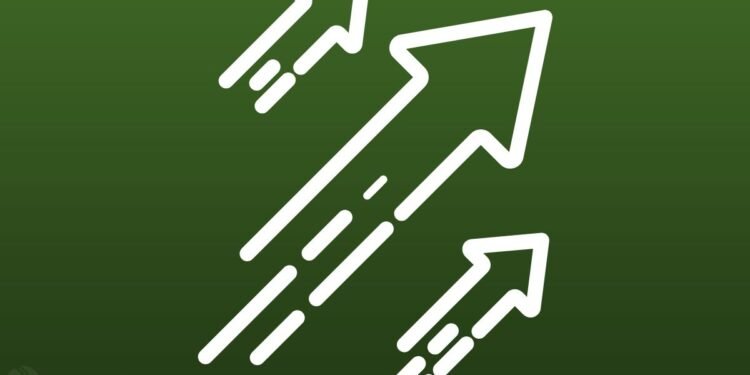 XRP, DOGE, Solana Lead Post-Thanksgiving Gains as Bearish Sentiment Wanes