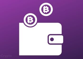 Amid Staunch Criticism, President Bukele Reveals El Salvador's Bitcoin Wallet Will Be Working 100% In Coming Days