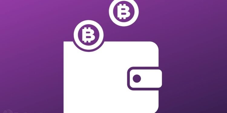 Amid Staunch Criticism, President Bukele Reveals El Salvador's Bitcoin Wallet Will Be Working 100% In Coming Days