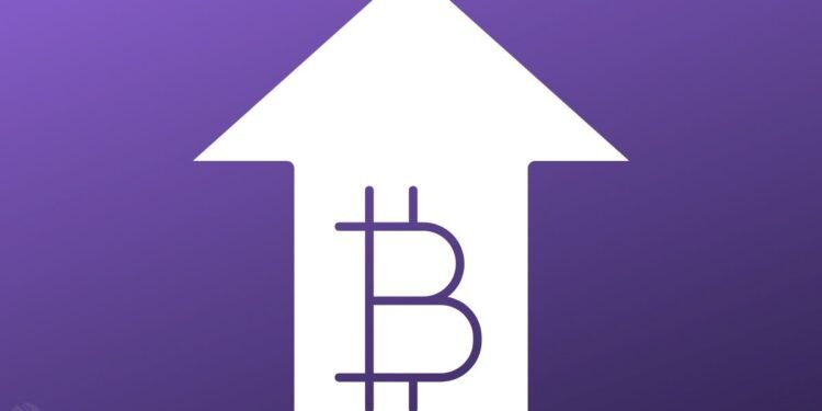 Analyst Reveals What Market Conditions Could Supercharge Bitcoin To $310,000