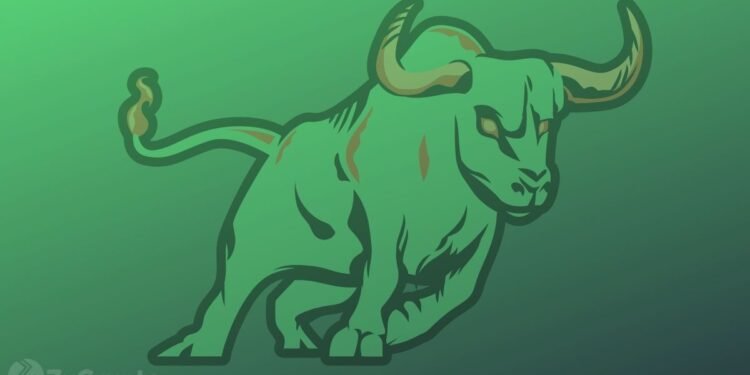 Bitcoin, Ether, Cardano, Solana Bull Rally In Second Half Of 2022 Is Unquestionable, Says Crypto Exec