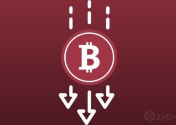 Bitcoin Price Tendency To Crash By Over 80% May Have Just Come To An End