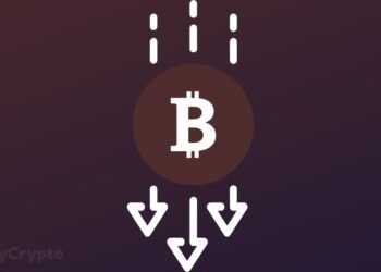 Bitcoin Will Crash 85% From Current Highs, Controversial HEX Founder Richard Heart Avers