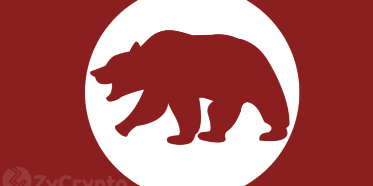 Crypto Market Bears Wipe Out $13 Billion As Bitcoin Plummets Below $10,000