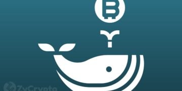Whales Are “Gobbling Up” Bitcoin Even With The Recent Market Slump
