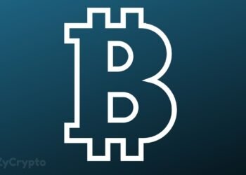 1% Of Bitcoin’s Total Supply Has Just Been Seized By The Chinese Police