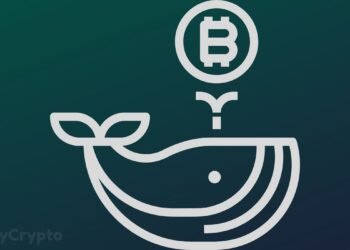 Bitcoin Worth More Than $3.45 Billion Has Exited Crypto Exchanges Amid BTC Whales Going Parabolic
