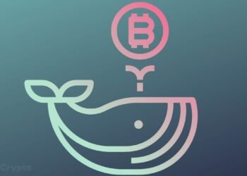 Mammoth BTC Whale: The Chinese Government Holds More Bitcoin Than Michael Saylor's MicroStrategy