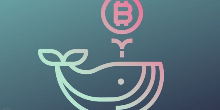 Mammoth BTC Whale: The Chinese Government Holds More Bitcoin Than Michael Saylor's MicroStrategy
