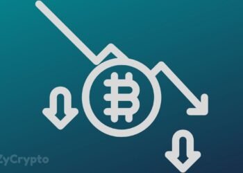 No Intrinsic Value? Peter Schiff Says Bitcoin Price Can Never Be Too Low