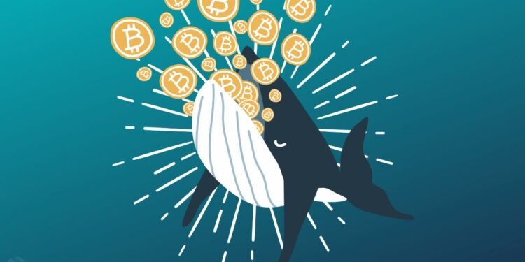 Satoshi-Era Bitcoin Whale Moves $1.2 Million Worth Of BTC After 13 Years