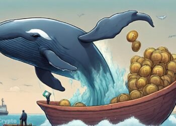 Analysts Warn of Huge Bitcoin Price Correction as Whales Offload Stash