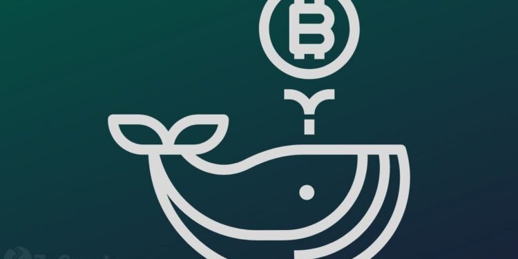 Bitcoin Worth More Than $3.45 Billion Has Exited Crypto Exchanges Amid BTC Whales Going Parabolic