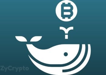Whales Are “Gobbling Up” Bitcoin Even With The Recent Market Slump