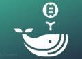 A Mammoth Bitcoin Whale Has Passed Away And Everyone's Left With One Troubling Question