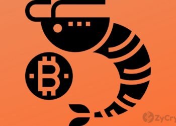 As Traditional Investors Flood the Bitcoin Market, Pundit Warns Of Risk On/Off Moves