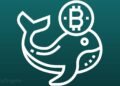 How the CEO of Binance became one of Bitcoin's biggest whales