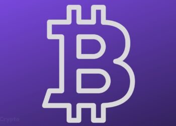 Investor Regrets Buying House Instead of BTC As Storms Batter Million Dollar Property