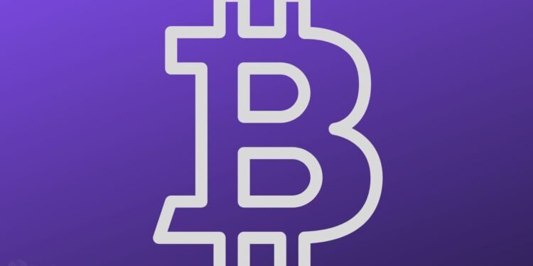 Investor Regrets Buying House Instead of BTC As Storms Batter Million Dollar Property