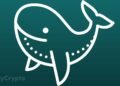 Why Boomers and Gen Xers are Expected to Become the Biggest Bitcoin Whales