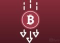Bitcoin Price Tendency To Crash By Over 80% May Have Just Come To An End