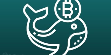 How the CEO of Binance became one of Bitcoin's biggest whales