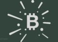 Wedbush: Tesla's $1.5 Billion Bitcoin Bet Will Spark More Corporate Adoption