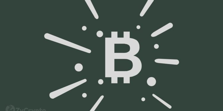 Wedbush: Tesla's $1.5 Billion Bitcoin Bet Will Spark More Corporate Adoption