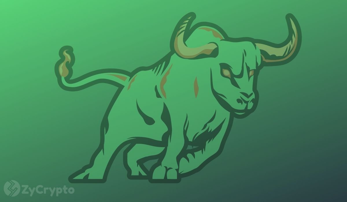 Bitcoin, Ether, Cardano, Solana Bull Rally In Second Half Of 2022 Is Unquestionable, Says Crypto Exec Bitcoin, Ether, Cardano, Solana Bull Rally In Second Half Of 2022 Is Unquestionable, Says Crypto Exec
