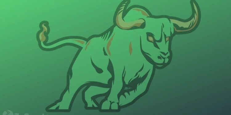 Bitcoin, Ether, Cardano, Solana Bull Rally In Second Half Of 2022 Is Unquestionable, Says Crypto Exec
