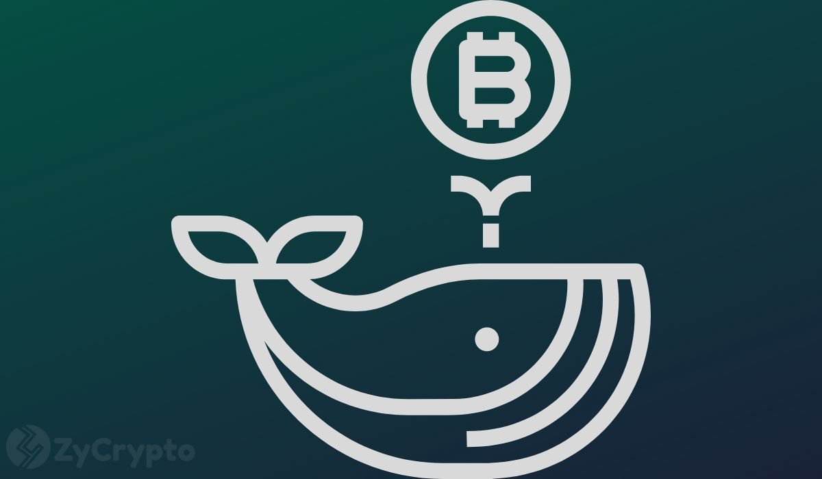 Bitcoin Worth More Than $3.45 Billion Has Exited Crypto Exchanges Amid BTC Whales Going Parabolic Bitcoin Worth More Than $3.45 Billion Has Exited Crypto Exchanges Amid BTC Whales Going Parabolic