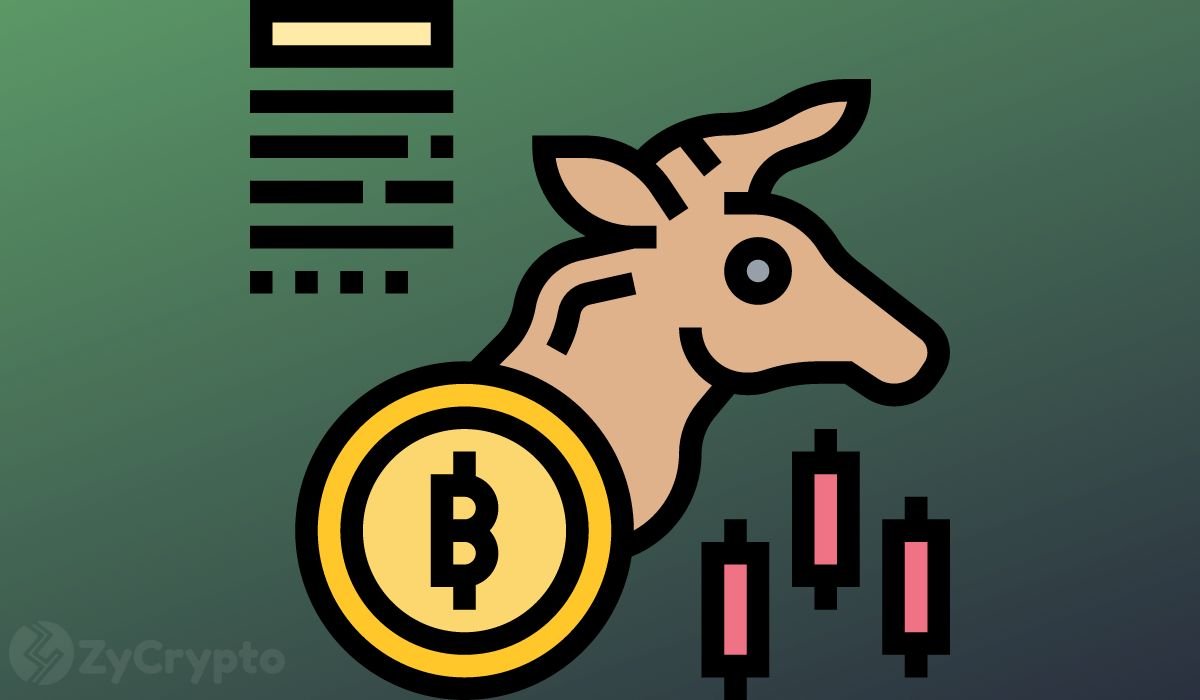 Bitcoin Bull Calls $220,000 All-Time High As Ether, Shiba Inu, Cardano, Solana, XRP See Crazy Momentum Bitcoin Bull Calls $220,000 All-Time High As Ether, Shiba Inu, Cardano, Solana, XRP See Crazy Momentum