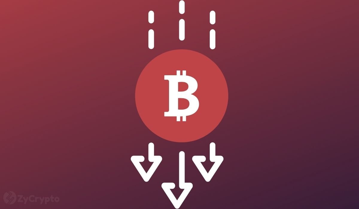 Bitcoin Crashed Immediately After New York Mayor Received Paycheck In BTC, But Here's Why He Has No Regrets Bitcoin Crashed Immediately After New York Mayor Received Paycheck In BTC, But Here's Why He Has No Regrets