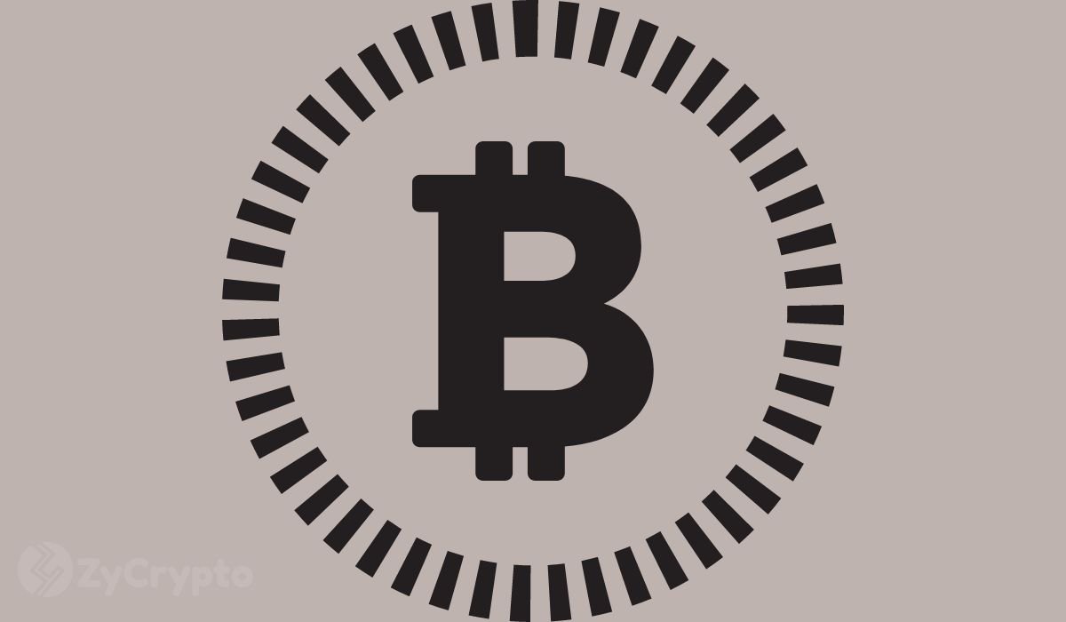 Tether CEO Spotlights Bitcoin's Uniqueness While Citing Bearish View on Shiba Inu, PEPE, WIF, FLOKI (1) Tether CEO Spotlights Bitcoin's Uniqueness While Citing Bearish View on Shiba Inu, PEPE, WIF, FLOKI