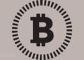 Tether CEO Spotlights Bitcoin's Uniqueness While Citing Bearish View on Shiba Inu, PEPE, WIF, FLOKI